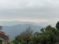 -梧桐山风景名胜区
