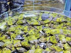 -聚盛源蒸汽海鲜火锅烤肉自助(巨川金海岸购物广场店)