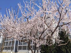 -明海妈妈菜(大连外国语学院店)