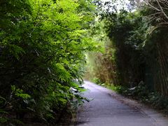 -华侨城湿地公园