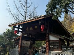 -青城甲(青城山店)