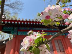 -北京古代建筑博物馆