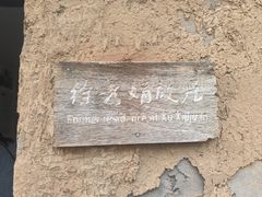 -盐城丹顶鹤湿地生态旅游区