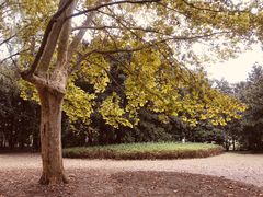 -共青国家森林公园-南大门停车场