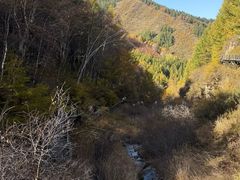 -苏木山森林公园