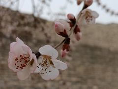 -北京明城墙遗址公园