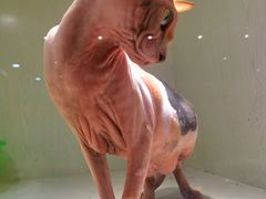 -乐宠宠物店(世纪金源店)