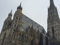 -斯蒂芬主教座堂(Stephansdom)