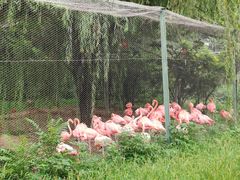 -石家庄市动物园