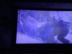 -万象影城(石家庄万象城IMAX激光店)