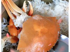 -崖口煲仔饭