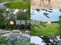 -南海子公园
