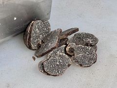 -芸山季·云南野生菌火锅(南翔印象城MEGA店)