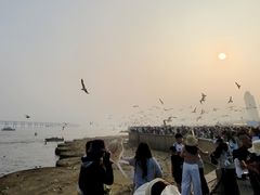 -星海广场