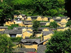 -杨家堂村