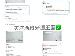 -西班牙语王国