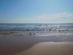 -老虎石海上公园