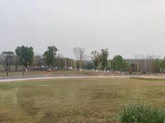 -盘龙城国家考古遗址公园