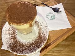 -树咖啡tree coffee