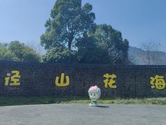 -径山花海