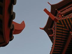-厦门园林博览苑