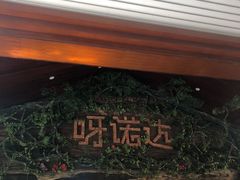 -呀诺达热带雨林