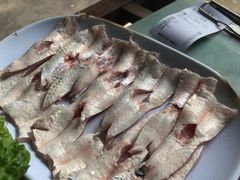 -章记正宗南岗鱼蛋火锅