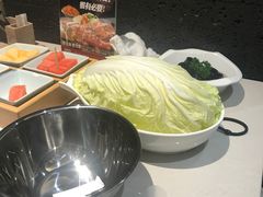 -浩爷羊蝎子火锅(望京店)