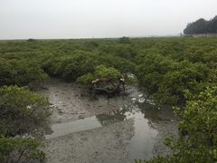 -北海金海湾红树林生态旅游区