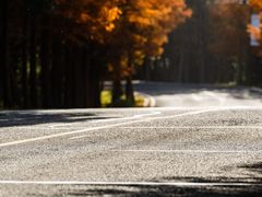 -南京市无想山景区