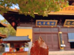 -亭林园-华藏寺