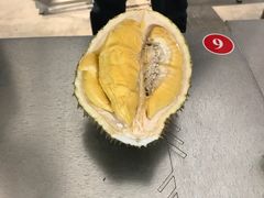 -都念榴莲·城市榴莲