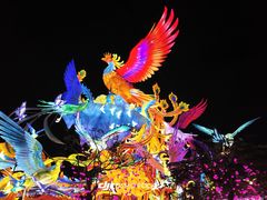 -厦门园林博览苑