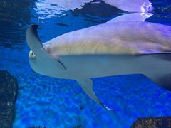 -横店影视城梦幻谷园区