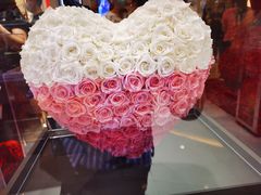 -ROSEONLY诺誓(广州K11店)