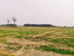 -嘉北郊野公园
