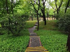 -徐家汇源景区-衡山公园