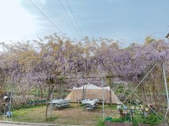 -杭州屏风山越野车营地·团建别墅轰趴民宿