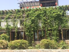 -慢丽江·云南野生菌土鸡锅(付家庄店)