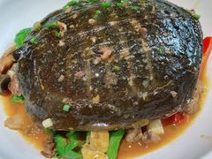 红烧甲鱼-武汉翔鹏快活林酒店(光霞店)