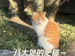 -八大处公园