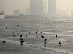 -海河外滩公园