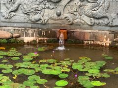 -深圳龙潭公园