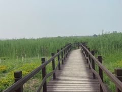 -西青郊野公园