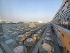 -厨邦酱油文化博览馆