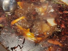 -受气牛肉·重庆耙牛肉(来福士店)