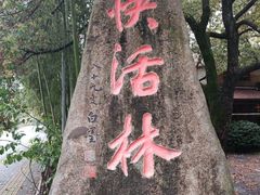 -黄公望隐居地