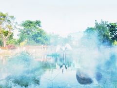 -厦门方特东方神画