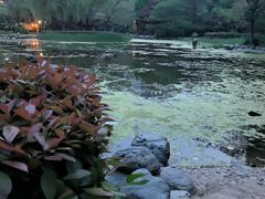 -木塔寺遗址生态公园