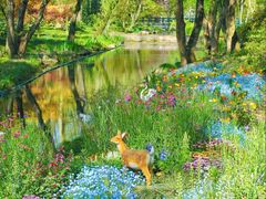 -上海共青森林公园